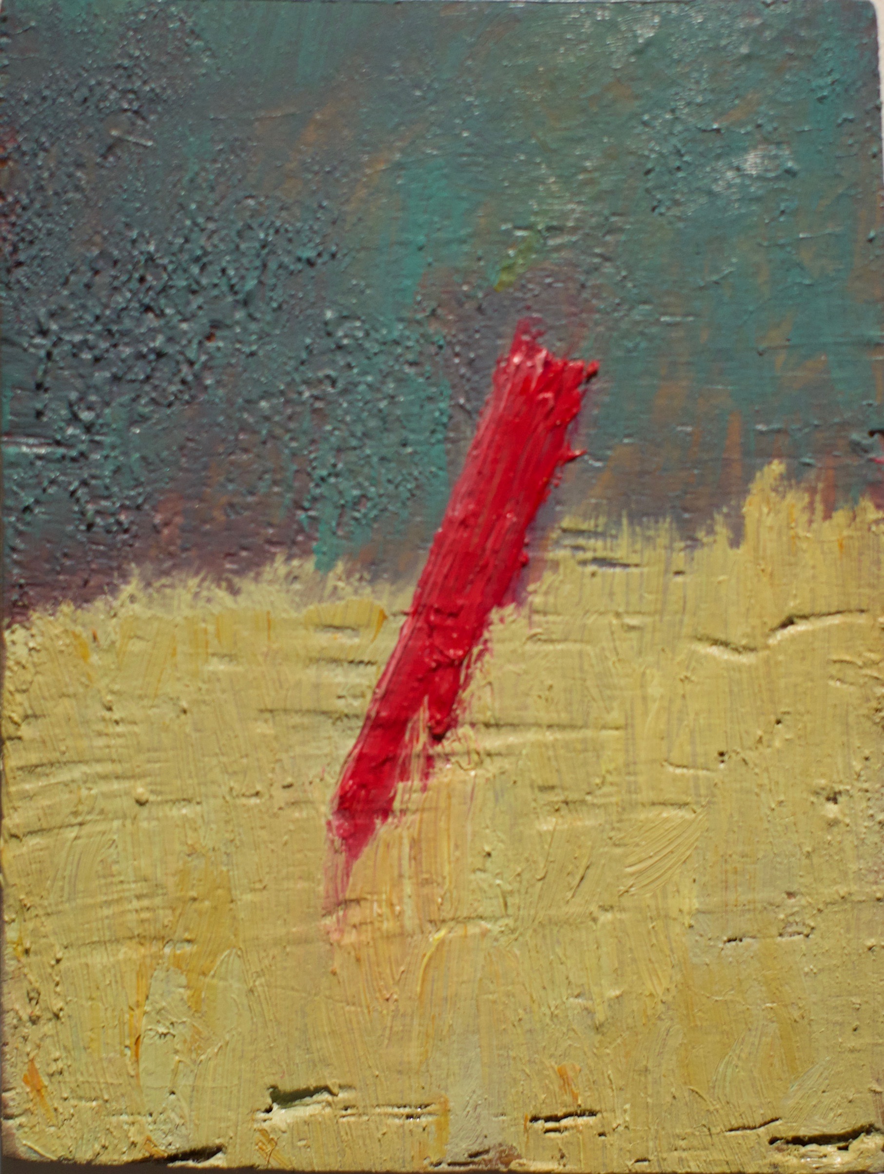 'Cerco'